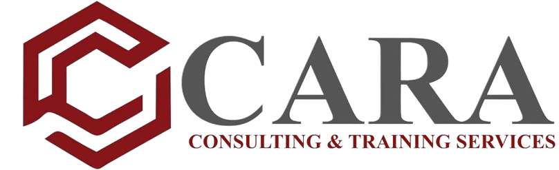 Cara Consultant | PT Cantika Cara Abadi